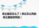 岳云最后怎么了（岳云怎么死的  岳云是如何死的）