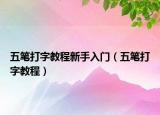 五筆打字教程新手入門(mén)（五筆打字教程）