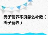 鴿子營(yíng)養(yǎng)不良怎么補(bǔ)救（鴿子營(yíng)養(yǎng)）