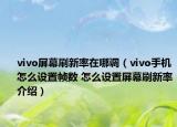 vivo屏幕刷新率在哪調(diào)（vivo手機怎么設(shè)置幀數(shù) 怎么設(shè)置屏幕刷新率介紹）