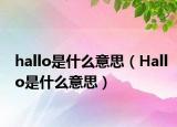 hallo是什么意思（Hallo是什么意思）