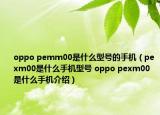 oppo pemm00是什么型號(hào)的手機(jī)（pexm00是什么手機(jī)型號(hào) oppo pexm00是什么手機(jī)介紹）