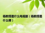 楊教授是什么電視?。罱淌谑鞘裁垂＃? /></span></a>
                        <h2><a href=