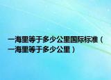 一海里等于多少公里國際標準（一海里等于多少公里）