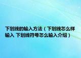 下劃線的輸入方法（下劃線怎么樣輸入 下劃線符號怎么輸入介紹）