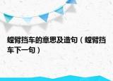 螳臂擋車的意思及造句（螳臂擋車下一句）