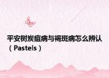 平安樹炭疽病與褐斑病怎么辨認(rèn)（Pastels）