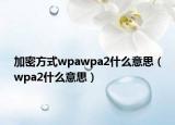 加密方式wpawpa2什么意思（wpa2什么意思）