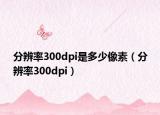 分辨率300dpi是多少像素（分辨率300dpi）