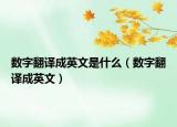 數(shù)字翻譯成英文是什么（數(shù)字翻譯成英文）