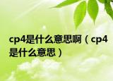 cp4是什么意思?。╟p4是什么意思）