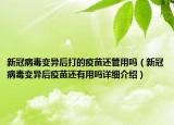 新冠病毒變異后打的疫苗還管用嗎（新冠病毒變異后疫苗還有用嗎詳細介紹）