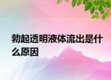 勃起透明液體流出是什么原因