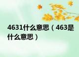 4631什么意思（463是什么意思）