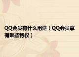 QQ會員有什么用途（QQ會員享有哪些特權(quán)）