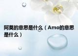 阿莫的意思是什么（Amo的意思是什么）