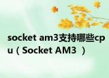 socket am3支持哪些cpu（Socket AM3 ）