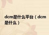 dcm是什么平臺（dcm是什么）