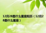 12月28是什么星座陽(yáng)歷（12月28是什么星座）