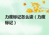 力度標(biāo)記怎么讀（力度標(biāo)記）