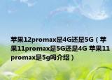 蘋果12promax是4G還是5G（蘋果11promax是5G還是4G 蘋果11promax是5g嗎介紹）