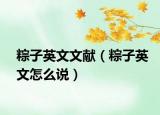 粽子英文文獻（粽子英文怎么說）