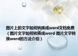 圖片上的文字如何轉(zhuǎn)換成word文檔免費(fèi)（圖片文字如何轉(zhuǎn)換成word 圖片文字轉(zhuǎn)換word的方法介紹）