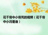 花千骨中小骨死的視頻（花千骨中小月是誰）