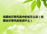 畫圖省識春風(fēng)面中的省怎么讀（畫圖省識春風(fēng)面省讀什么）