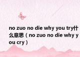 no zuo no die why you try什么意思（no zuo no die why you cry）