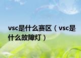 vsc是什么賽區(qū)（vsc是什么故障燈）