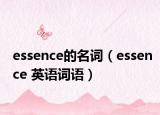 essence的名詞（essence 英語詞語）