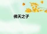 佛天之子