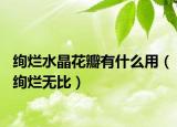 絢爛水晶花瓣有什么用（絢爛無比）