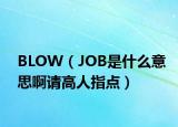 BLOW（JOB是什么意思啊請高人指點）