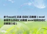 多個(gè)excel匯總表 自動(dòng)匯總數(shù)據(jù)（excel表格怎么自動(dòng)匯總數(shù)據(jù) excel如何自動(dòng)匯總數(shù)據(jù)介紹）