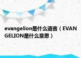 evangelion是什么語(yǔ)言（EVANGELION是什么意思）