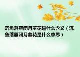 沉魚落雁閉月羞花是什么含義（沉魚落雁閉月羞花是什么意思）