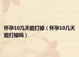 懷孕10幾天能打掉（懷孕10幾天能打掉嗎）