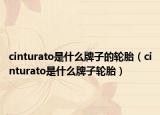 cinturato是什么牌子的輪胎（cinturato是什么牌子輪胎）