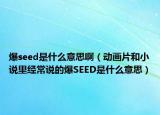 爆seed是什么意思?。▌赢嬈托≌f里經(jīng)常說的爆SEED是什么意思）