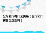 公斤和斤有什么關(guān)系（公斤和斤有什么區(qū)別嗎）