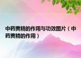 中藥黃精的作用與功效圖片（中藥黃精的作用）