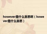 however是什么意思啊（however是什么意思）