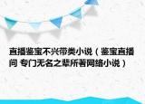 直播鑒寶不興帶類小說（鑒寶直播間 專門無名之輩所著網(wǎng)絡(luò)小說）