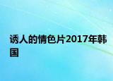 誘人的情色片2017年韓國