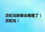 靈蛇島趙敏去哪里了（靈蛇島）