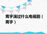 霄宇演過什么電視劇（霄宇）