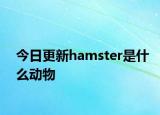 今日更新hamster是什么動物