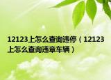 12123上怎么查詢違停（12123上怎么查詢違章車輛）